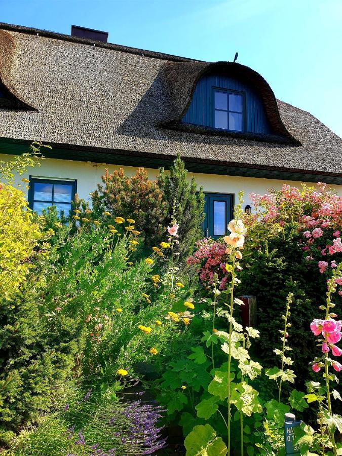 Insel Landhaus Bernstein Villa Gager Kültér fotó
